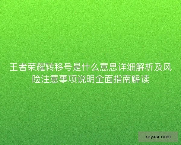 王者荣耀转移号是什么意思详细解析及风险注意事项说明全面指南解读